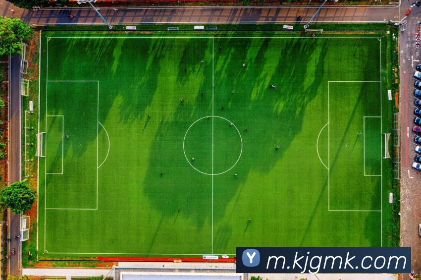 App 示例图